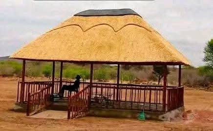 Completed thatched lapa with timber posts